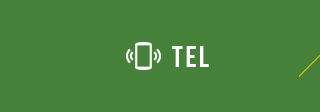 TEL